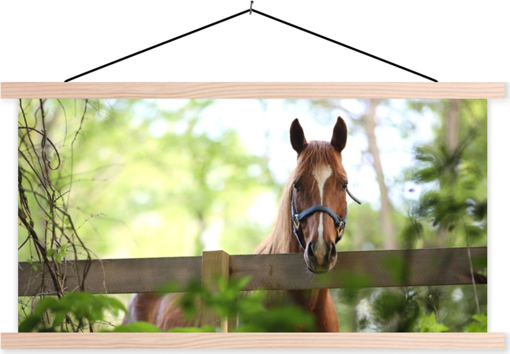 MuchoWow Textilposter Pferd - Natur - Zaun 120x60 cm mit holzfarbenen Rahmen - Klemmleiste