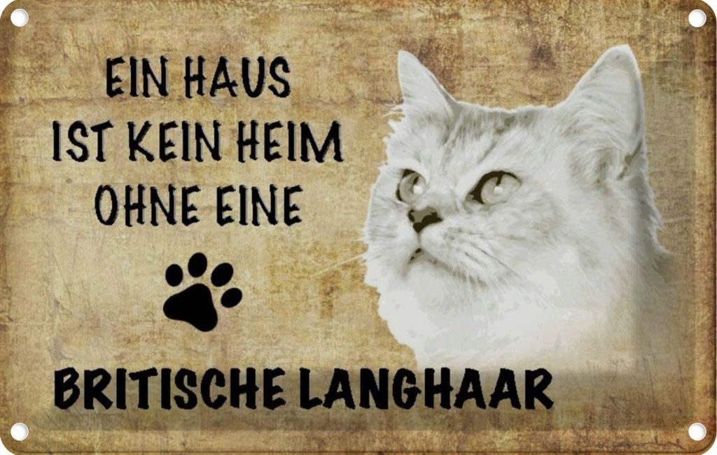 vianmo Blechschild 12x18 cm britische Langhaar Katze Tier Haustier