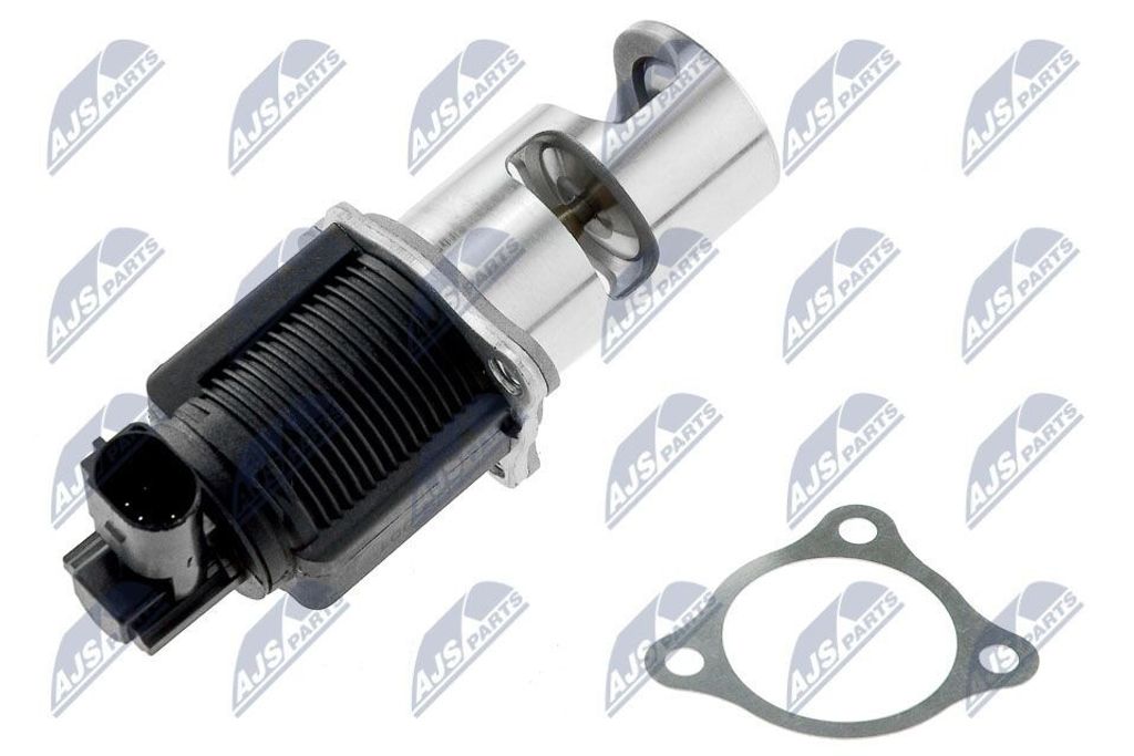NTY EGR-NS-001 AGR-Ventil für RENAULT Clio III Schrägheck (BR0/1, CR0/1) Abgasrückführungsventil