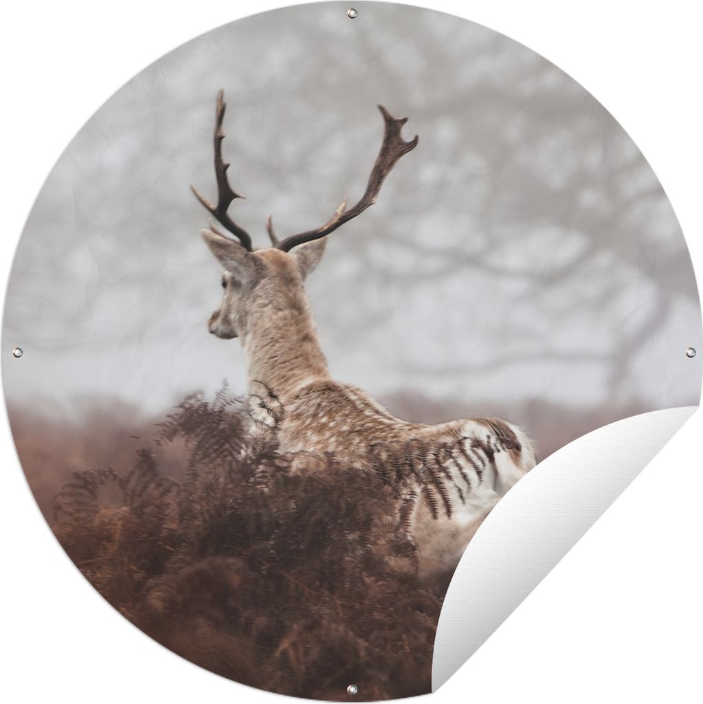 MuchoWow Gartenposter Outdoor-Poster Rund Hirsche - Nebel - Pflanzen Ø 90 cm Gartendeko Rundes Poster draußen