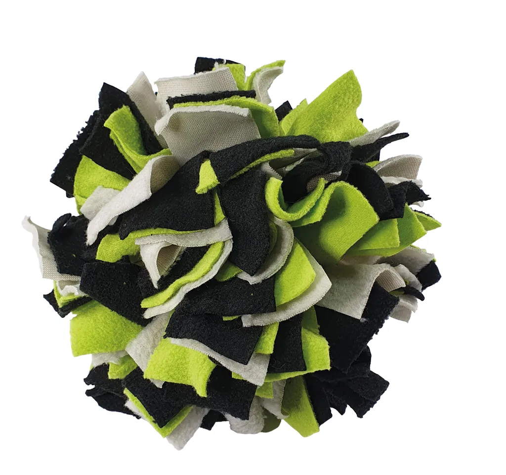 Balle à renifler Nobby Colore Ø 20 cm - Jouet d'occupation vert et noir