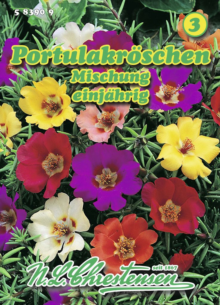 Portulakröschen Mischung  | Blumensamenmischung von N.L. Produktbild 