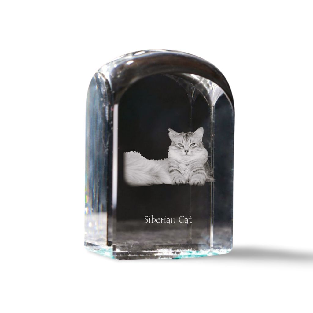 Sibirische Katze - Kristallwürfel mit Bild, Katzenbild im Kristall, sechseckiger Papierclip von der Marke Art-Dog