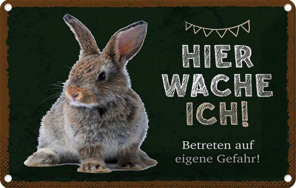 vianmo Blechschild 20x30 cm Kaninchen hier wache eigene Gefahr Tier Haustier