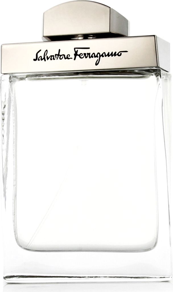 Salvatore Ferragamo Pour Homme EDT 100 ml M Zdjęcie produktu 