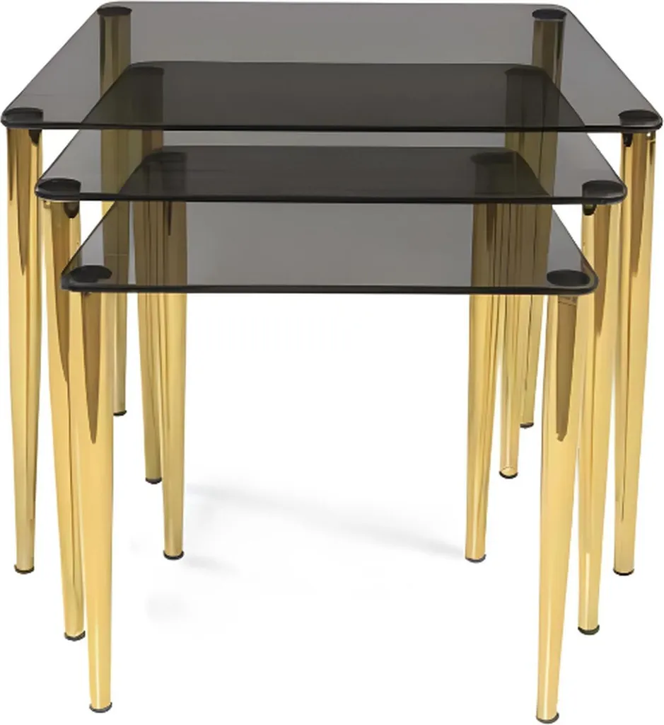 Table Basse de Salon Rectangulaire en Verre Trempé et Inox Série Silver