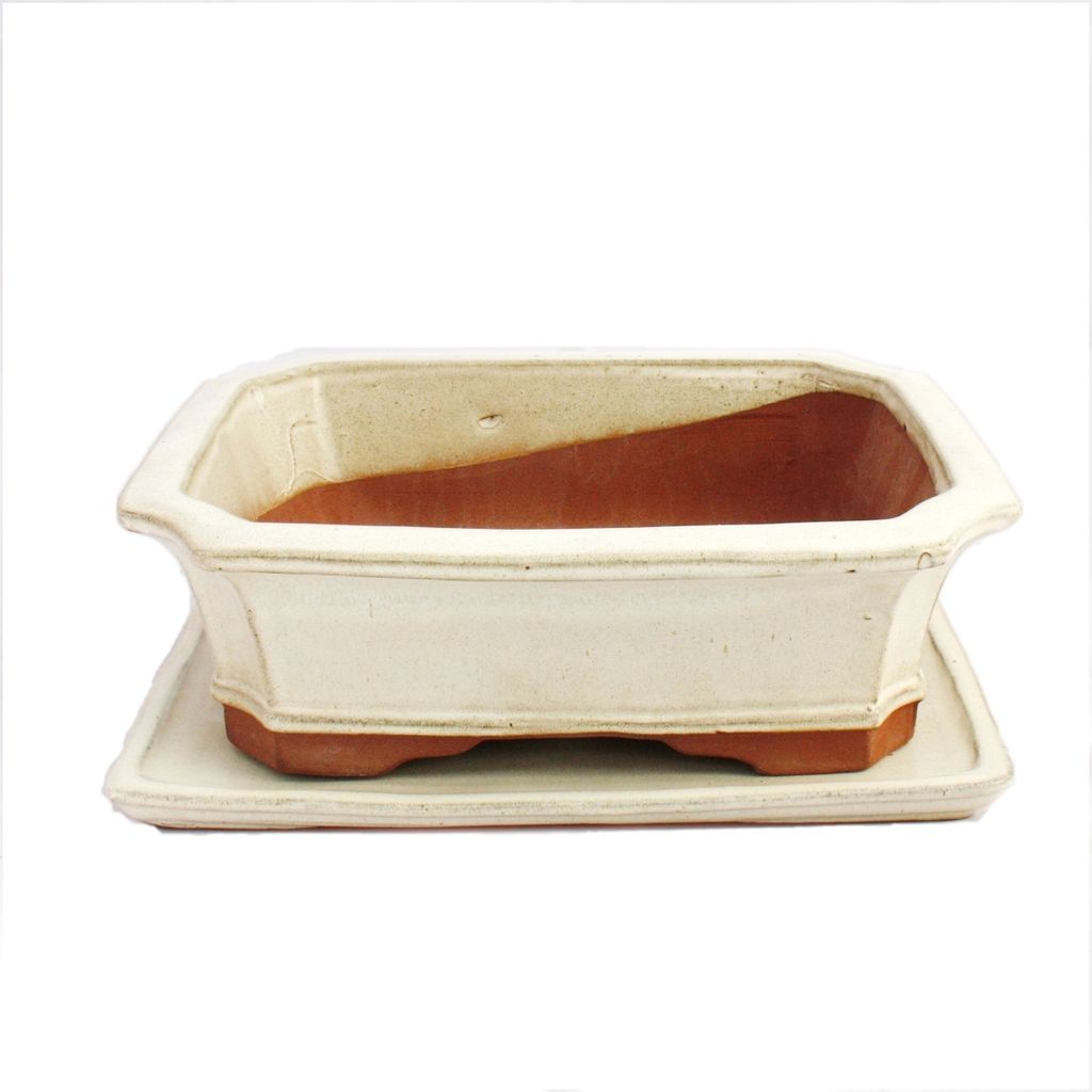 Ciotola Per Bonsai Rettangolare Smaltata Con Piattino - Beige Chiaro - 15,5x12x4,5 Cm - Yixing - 3