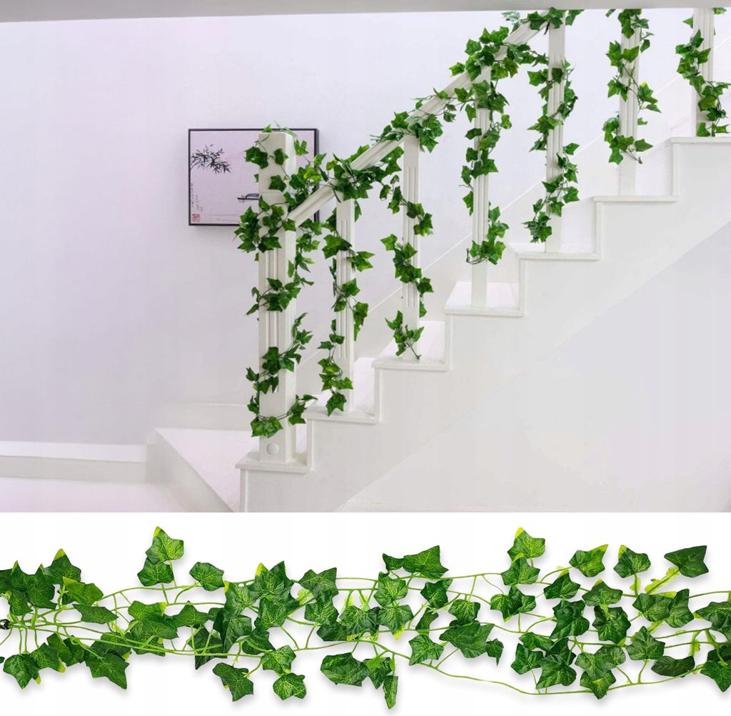 geigenfeige stamm stärken Große Geigenfeige kaufen – Green Me Up main image 1