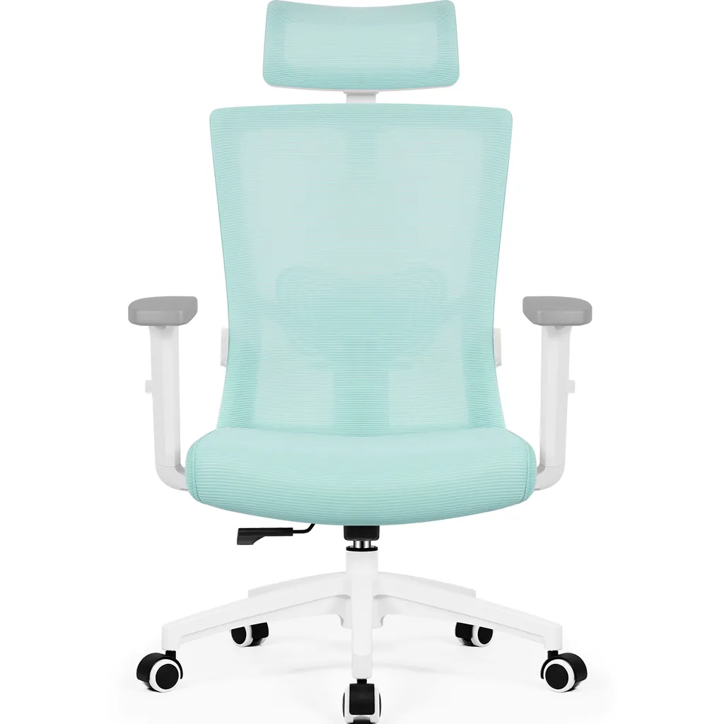 Dites adieu au mal de dos avec ce fauteuil de bureau ergonomique réglable