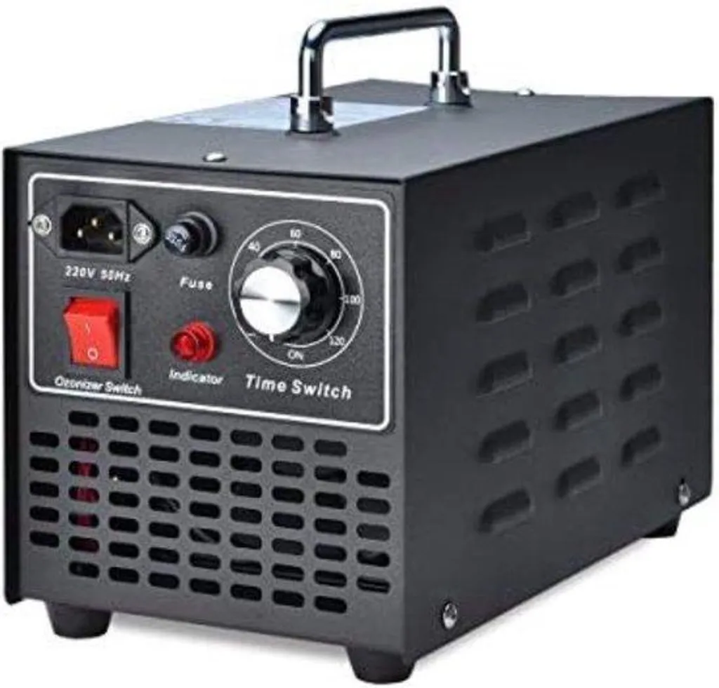 Ozonateur 10 000 mg/h avec minuterie pour assainissement de maison
