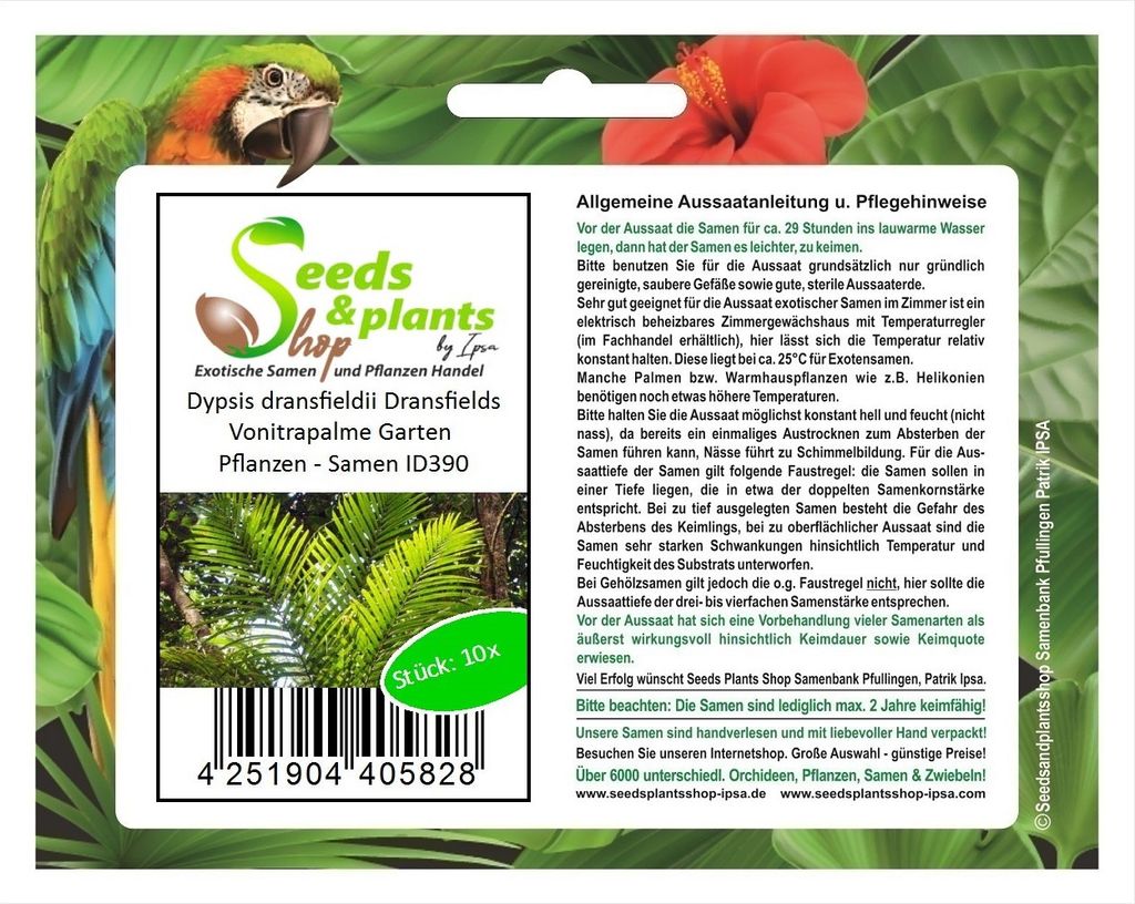 10x Dypsis dransfieldii Dransfields Vonitrapalme Garten Pflanzen - Samen ID390