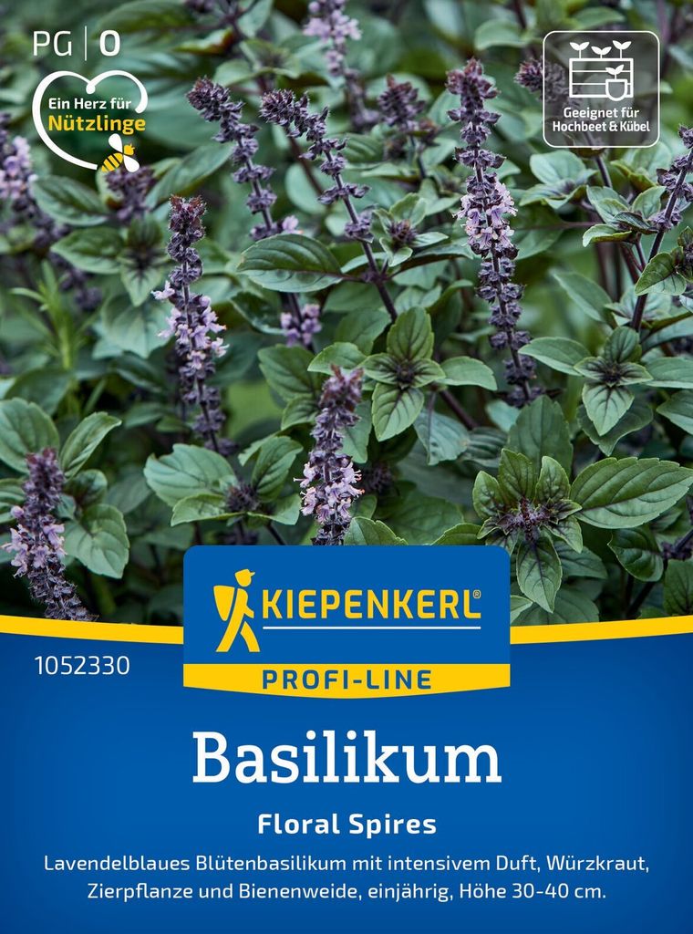 Kiepenkerl Basilikumsamen Floral Spires Lavendelblau Ocimum x hybridum 40 Pflanzen