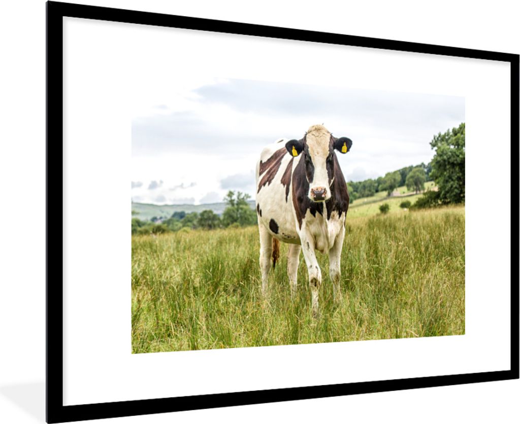 MuchoWow MuchoWow Gerahmtes Poster Kuh - Gras - Landschaft 90x60 cm - Poster mit zchwarzem Bilderrahmen - Wanddekoration - Fotos