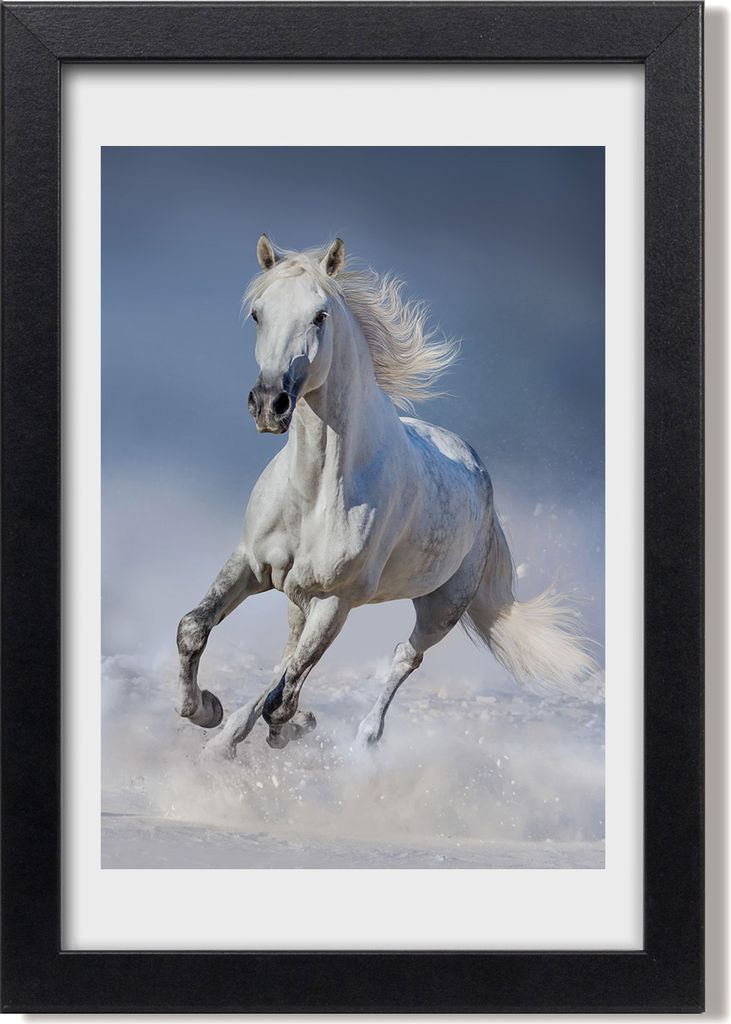 Bild 20x30 MDF-Rahmen, Wandkunst Schimmel im Galopp