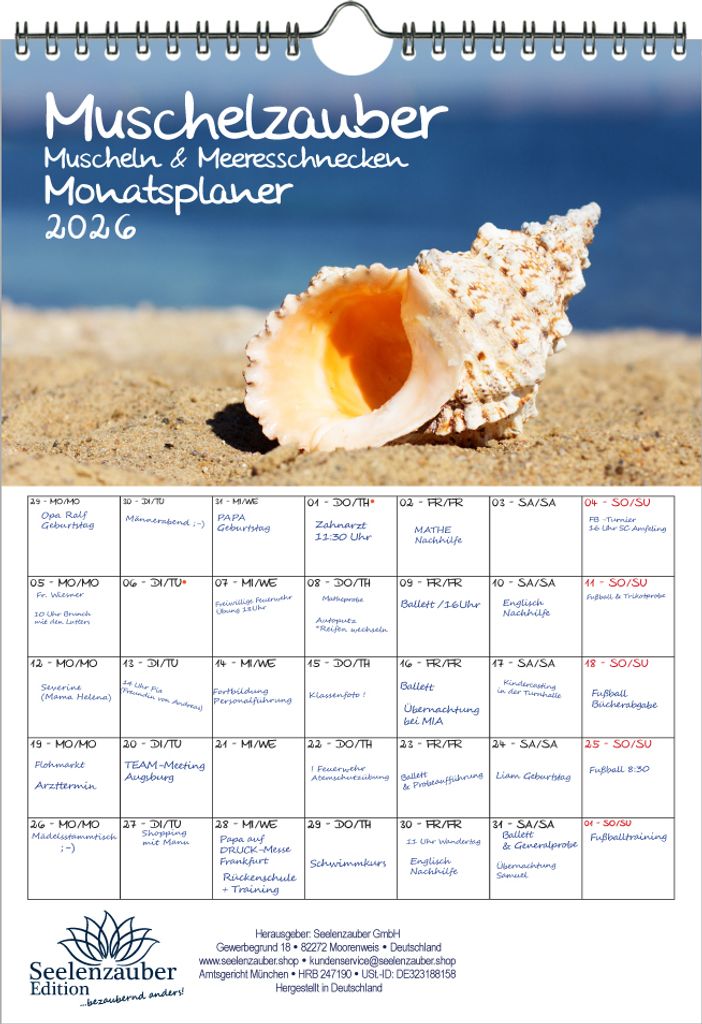 Muschelzauber Muscheln Planer DIN A4 Kalender für 2026 Muscheln Meer Strand - Seelenzauber
