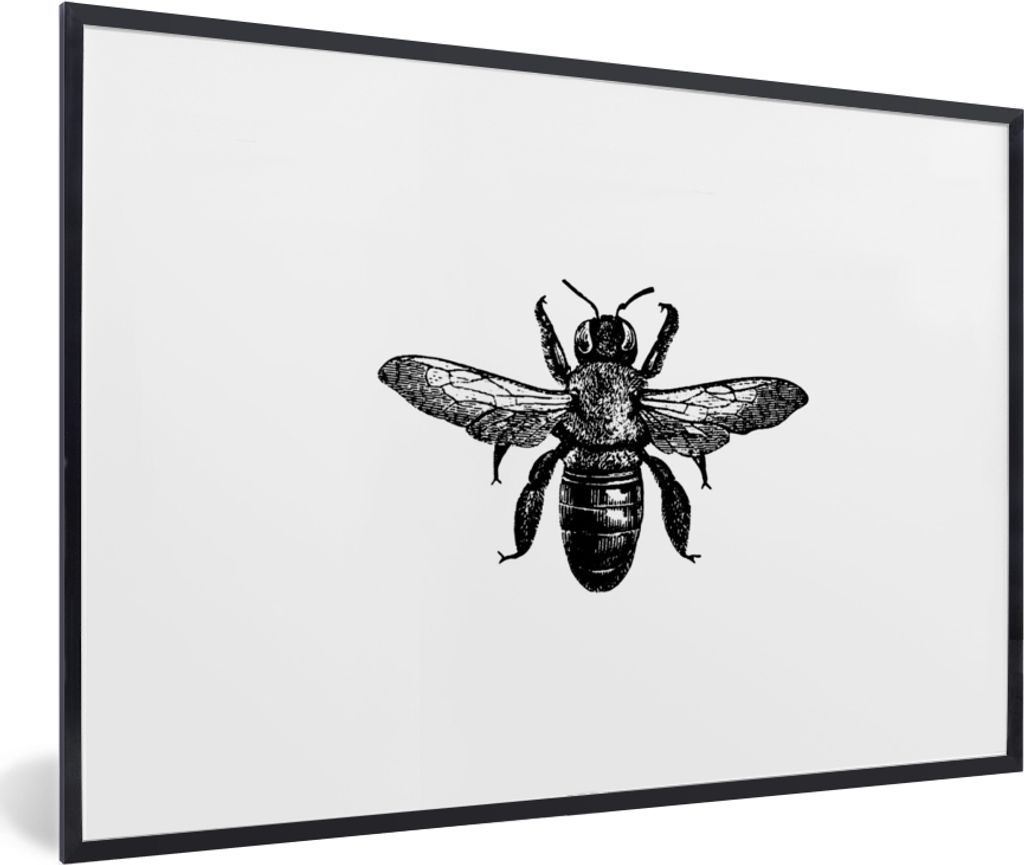 MuchoWow Gerahmtes Poster Biene - Insekt - Vintage - Schwarz und weiß 30x20 cm - Poster mit Schwarzem Bilderrahmen Wandposter Rahmen Foto Bilder...