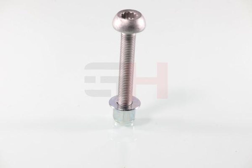GH Schraube Achsstummel GH-399961 Vorne Vorne Rechts Vorne Links Vorne unten für VW GOLF VI (5K1) Metall