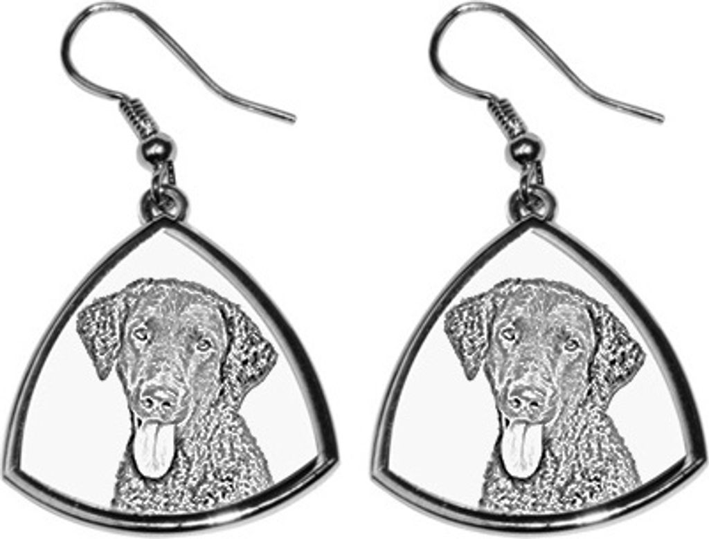 Curly Coated Retriever - Hund Ohrringe, hängende Ohrringe mit Bild, personalisierter Schmuck mit dem Aufdruck der Marke Art-Dog