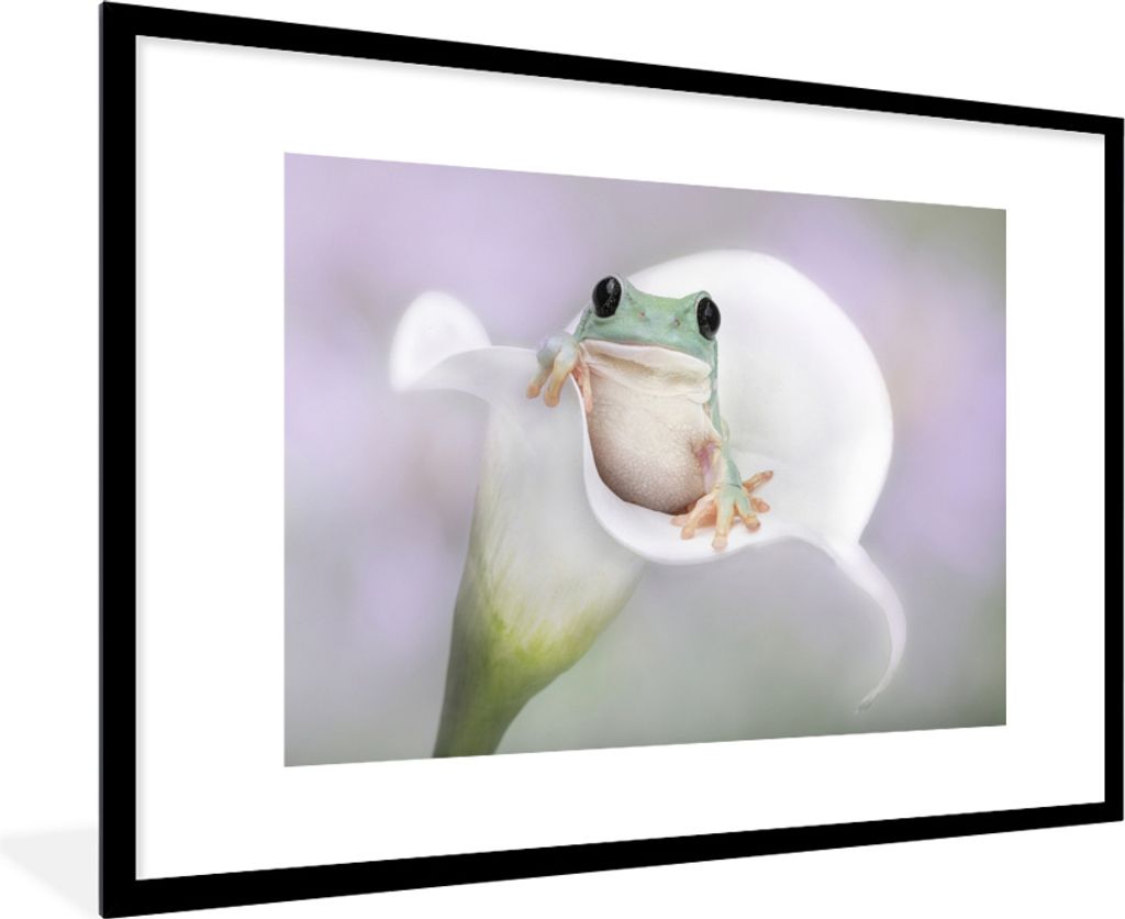 MuchoWow MuchoWow Gerahmtes Poster Lilie - Frosch - Blume 90x60 cm - Poster mit zchwarzem Bilderrahmen - Wanddekoration - Fotos