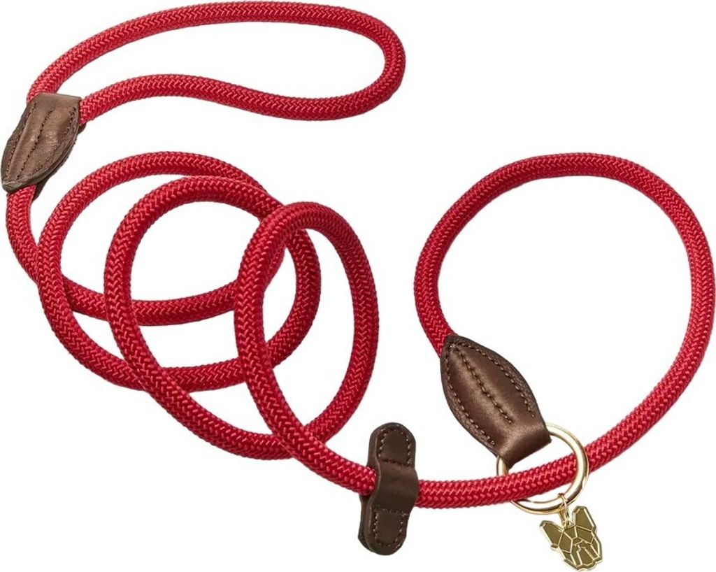 Digby & Fox - Hunde-Retriever-Leine, Leder ER2075 (Einheitsgröße) (Rot)