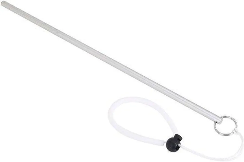 Stick de plongée argenté pour exploration récifale et signalisation pro