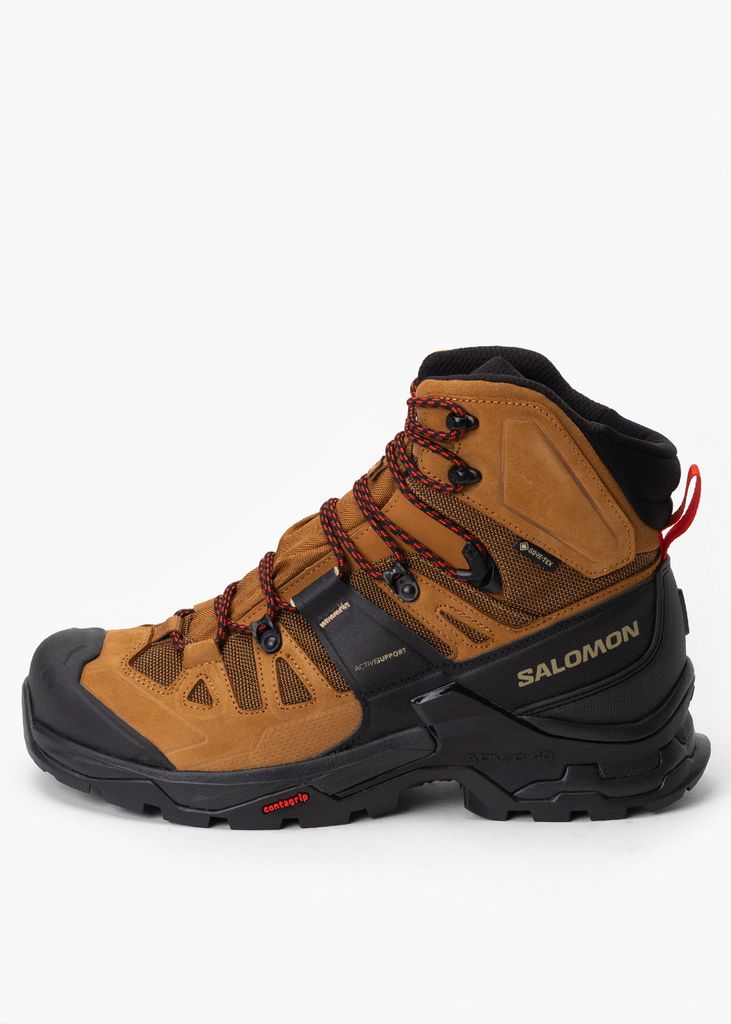 Herren Wanderschuhe SALOMON QUEST 4 GTX 46 2/3