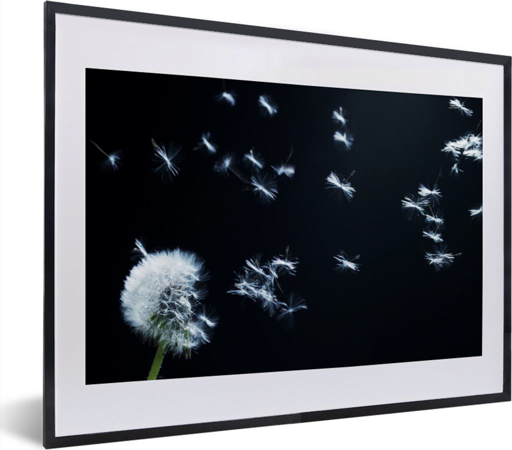 MuchoWow MuchoWow Gerahmtes Poster Schwimmende Löwenzahnsamen 40x30 cm - Poster mit zchwarzem Bilderrahmen - Bilderrahmen - Poster im Rahmen