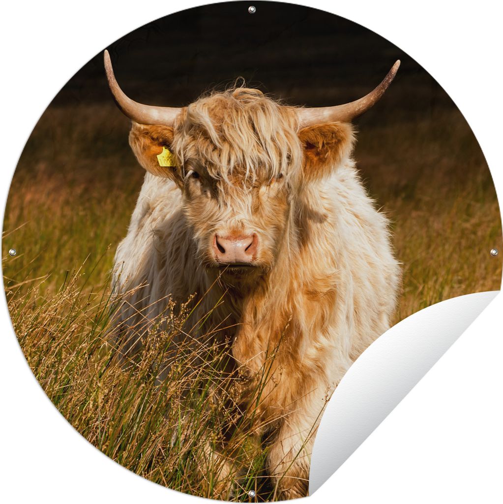MuchoWow Gartenposter Outdoor-Poster Rund Schottische Highlander - Licht - Gras - Tiere Ø 60 cm Gartendeko Rundes Poster draußen
