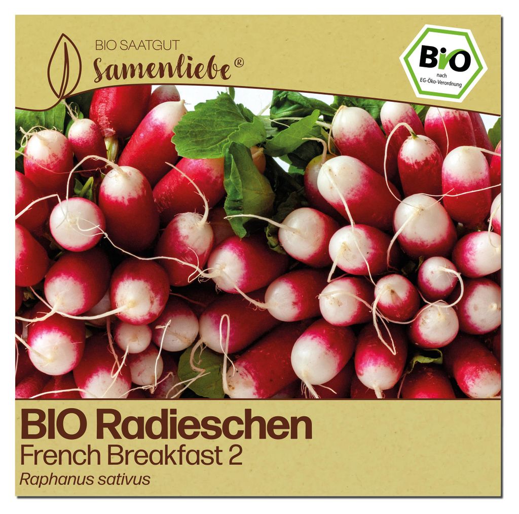 Samenliebe  Radieschen Samen | French Breakfast 2 - mild & Produktbild 