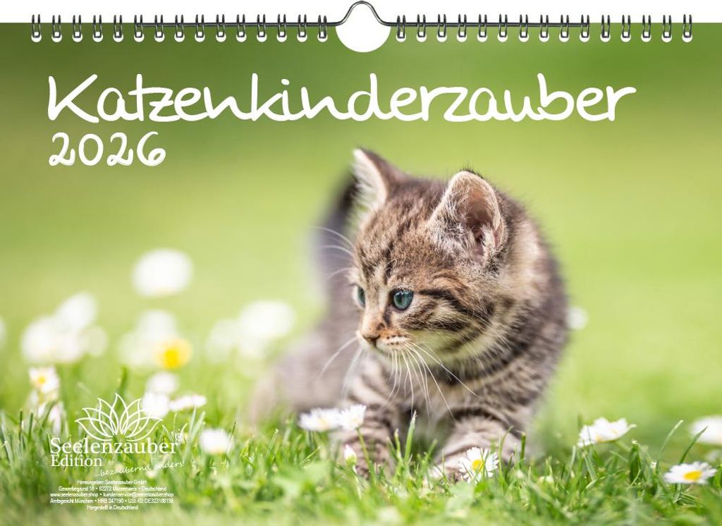 Katzenkinderzauber DIN A4 Kalender für 2026 Katzenkinder Produktbild 