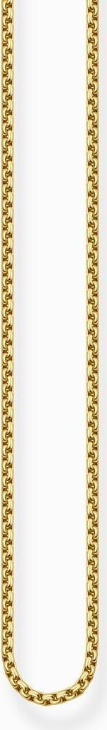 A close-up of a gold chain necklace.