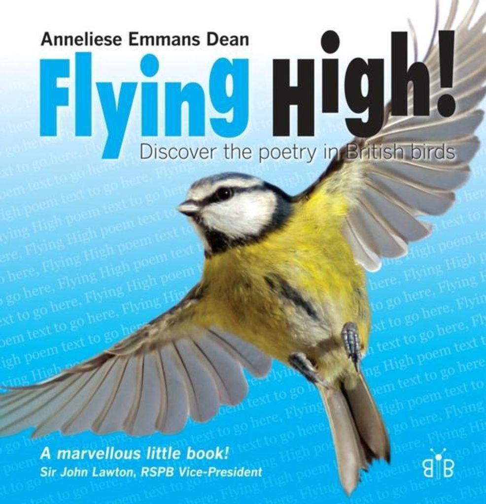 Flying High – Lingua: Inglese
