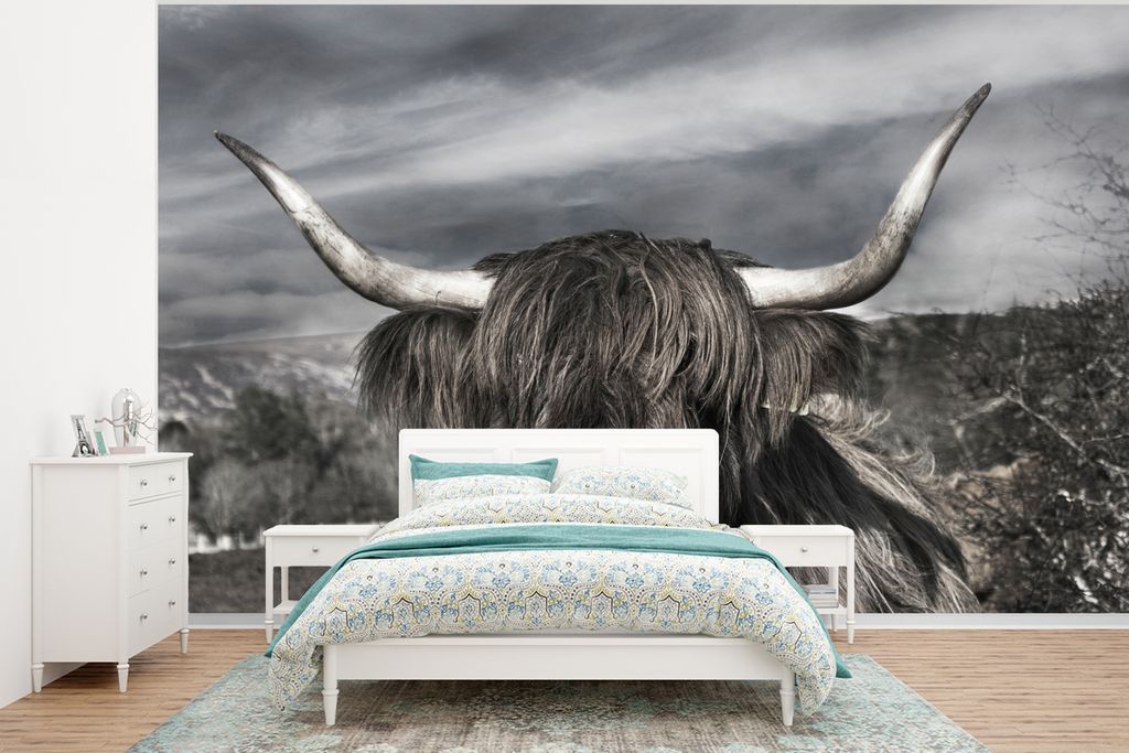 MuchoWow Fototapete für Wohnzimmer oder Schlafzimmer Wandtapete Vinyl Motivtapete Schottischer Highlander - Tiere - Hörner - 320x240 cm - Tapeten