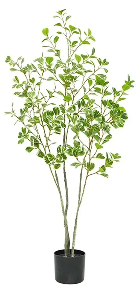 Ficus artificiel extérieur feuilles plastique vert olive haute qualité