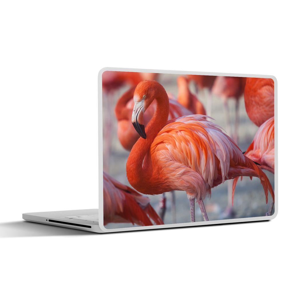 MuchoWow Laptop Aufkleber Sticker Cover Flamingo - Vogel - Tiere - Rosa 25x18 cm - Laptop-Deko