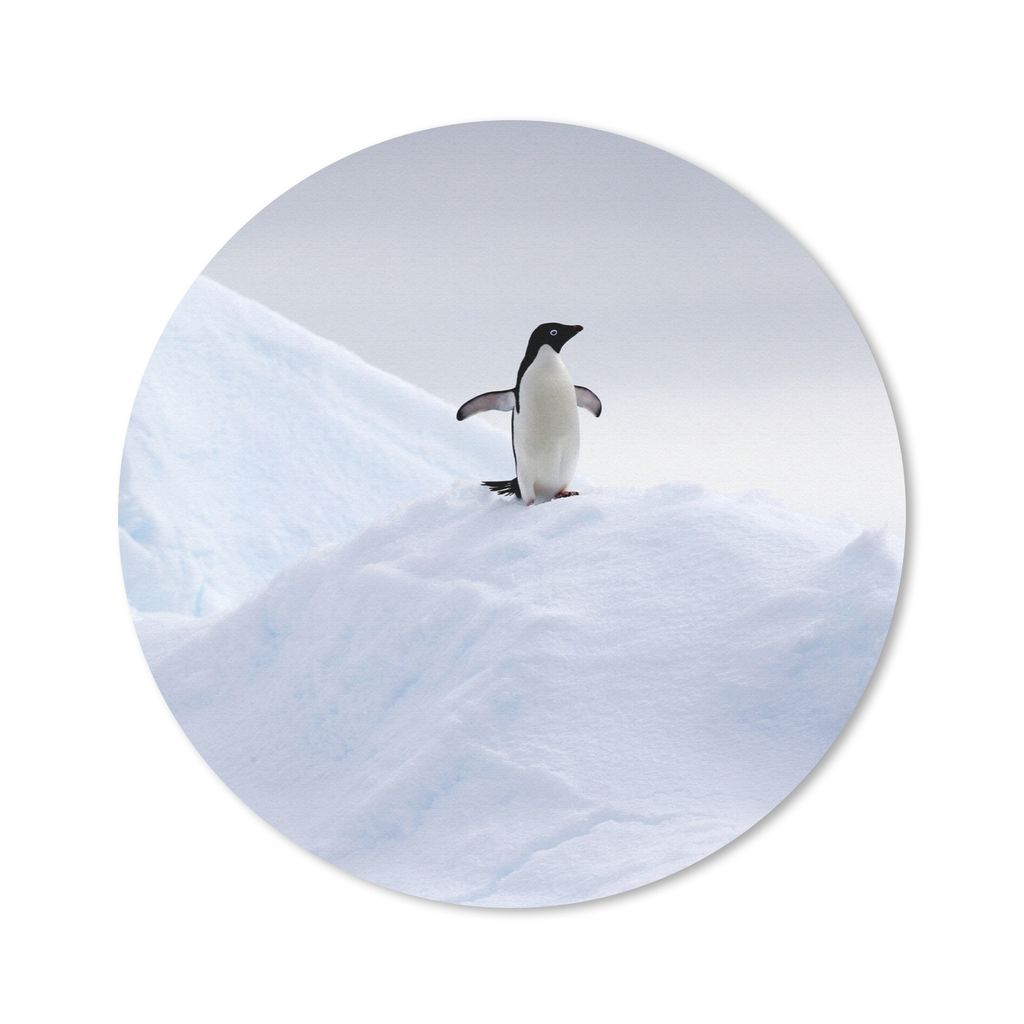 MuchoWow Mauspad Mousepad Pinguin - Eis - Winter 30x30 cm - Mousepads - Maus Mat - Pad - Mausunterlage - Tischunterlage - Schreibtischmatten