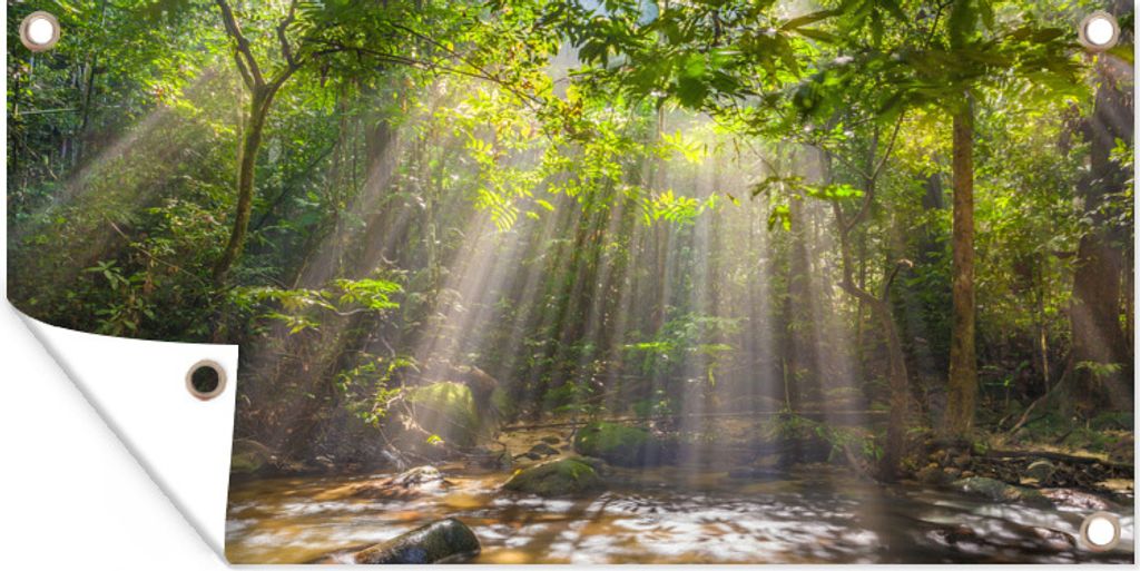 MuchoWow 80x40 cm Outdoor-Poster Gartendeko Sichtschutz Garten Poster für den Garten Sonnenstrahlen durch Laub