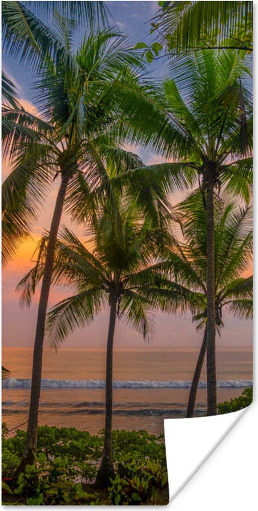 MuchoWow Poster Palme - Tropisch - Meer 40x80 cm - Dekoration