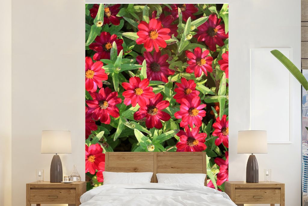 MuchoWow Fototapete für Wohnzimmer oder Schlafzimmer Wandtapete Vinyl Motivtapete Rote Zinnienblüten an einem sonnigen Tag - 180x280 cm - Wallp...