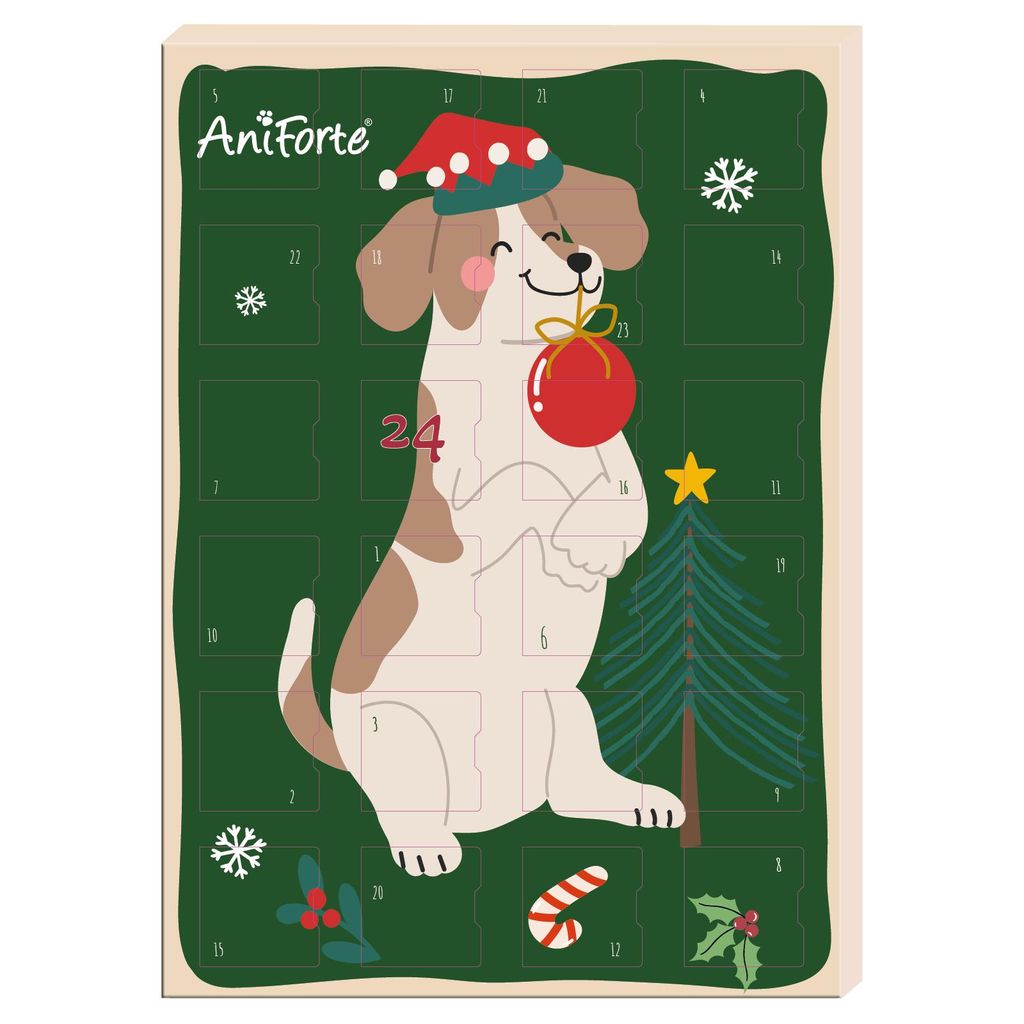 AniForte Adventskalender für Hunde 2026 - natürliche Produktbild 