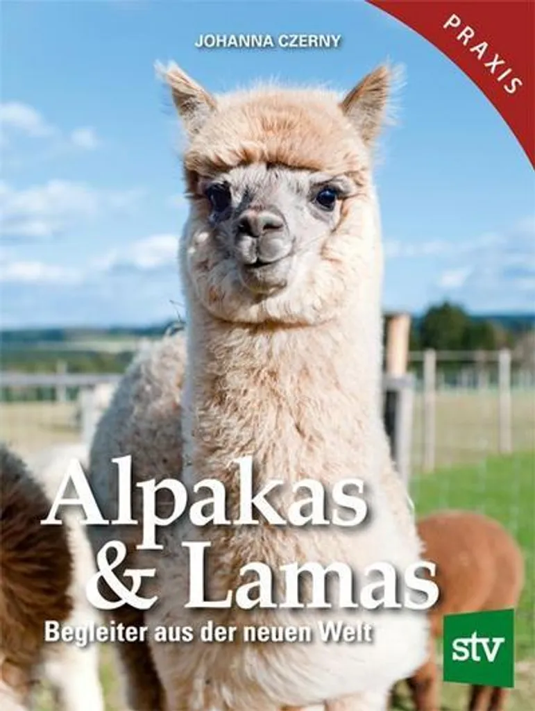 Kit Alpakas & Lamas de broderie créative pour débutants et experts