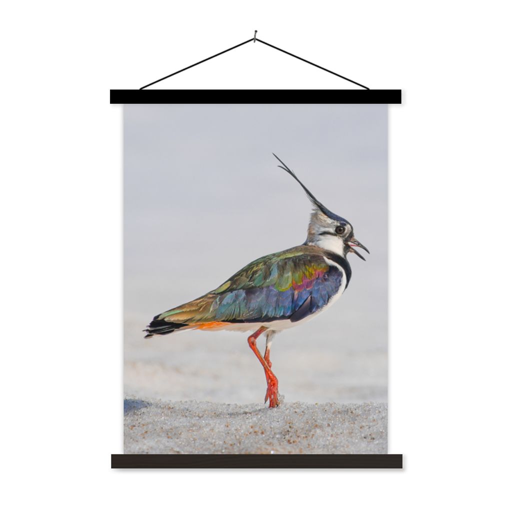 MuchoWow Textilposter Vogel - Tiere - Sand - Kiebitz 90x120 cm mit schwarzem Rahmen - Dekoration