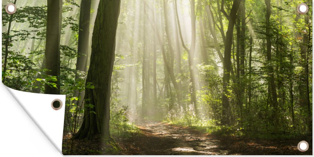 MuchoWow 60x30 cm Outdoor-Poster Gartendeko Sichtschutz Garten Poster für den Garten Wald - Licht - Natur - Landschaft