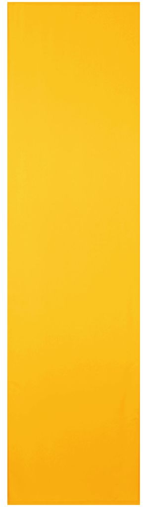 Flächenvorhang Ellen mit Zubehör, Größe: 60x245cm, Farbe: Hellorange