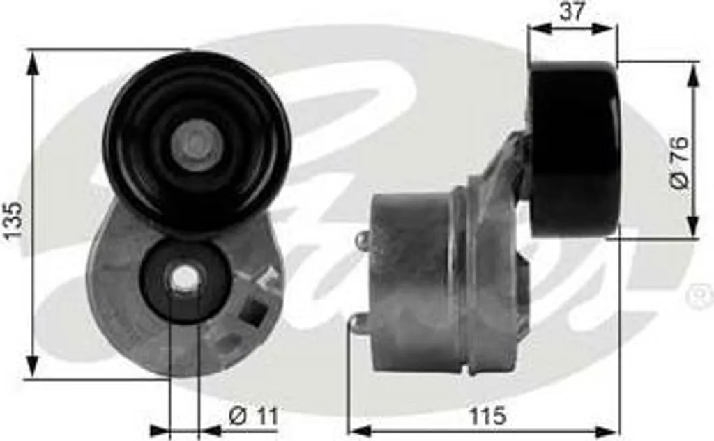 Tendicinghia Gates T38431 per Ford Transit 2.4 TDDi/TDCi OE 1119954