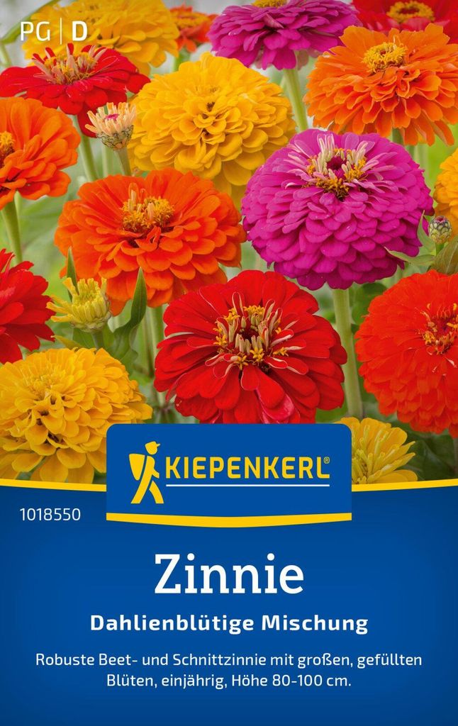 Kiepenkerl Zinniensamen Dahlienblütige 50 Pflanzen