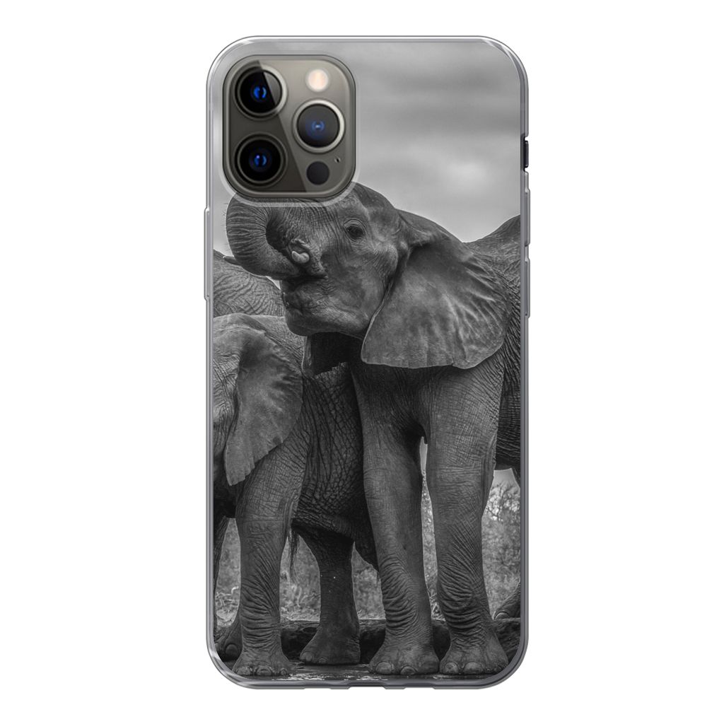 MuchoWow® Handyhülle Schutzhülle Hülle für iPhone 12 Pro Produktbild 