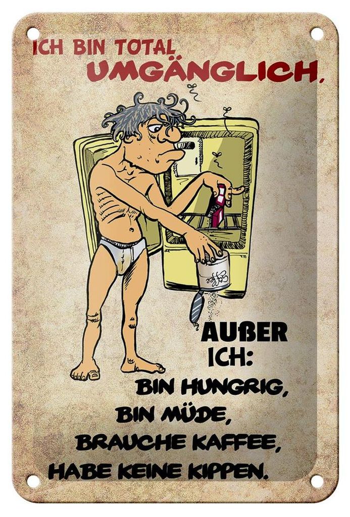 Blechschild Spruch 12x18cm bin total umgänglich außer