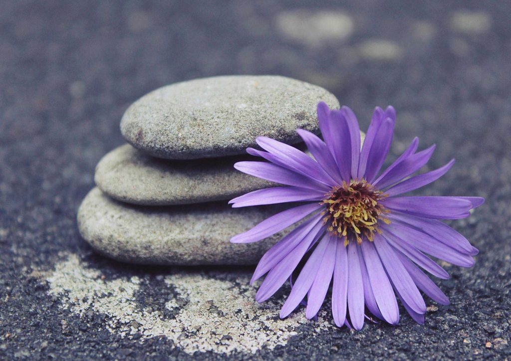 hansepuzzle 23429 - Zirstein Dekoration Puzzle, 260 Teile, Hintergründe, 41,0 x 28,0cm mit hochwertiger Aufbewahrung, Kartonbox & Beutel