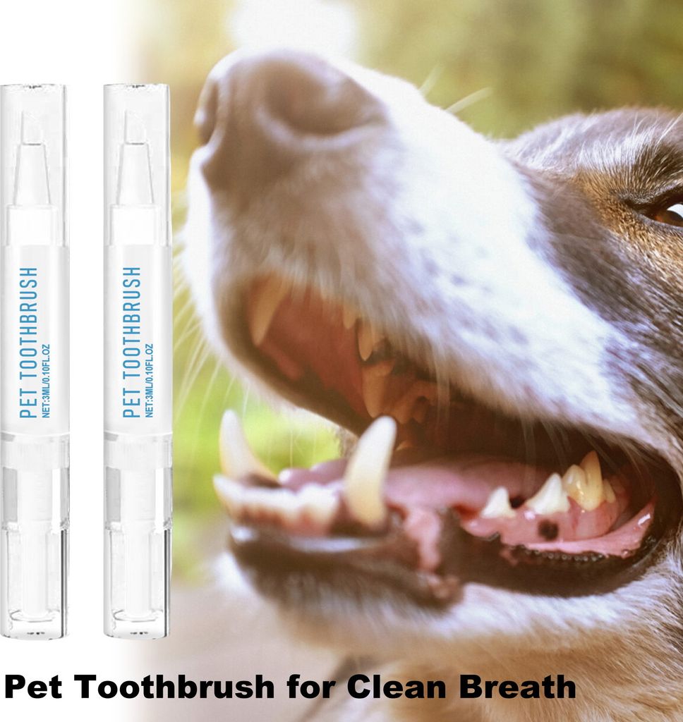 ml Haustier-Zahnbürstenstift, Zahnreinigung für Hunde, Zahnsteinentfernungswerkzeug, natürliches pflanzliches Zahnreparatur-Bleaching-Set für H...